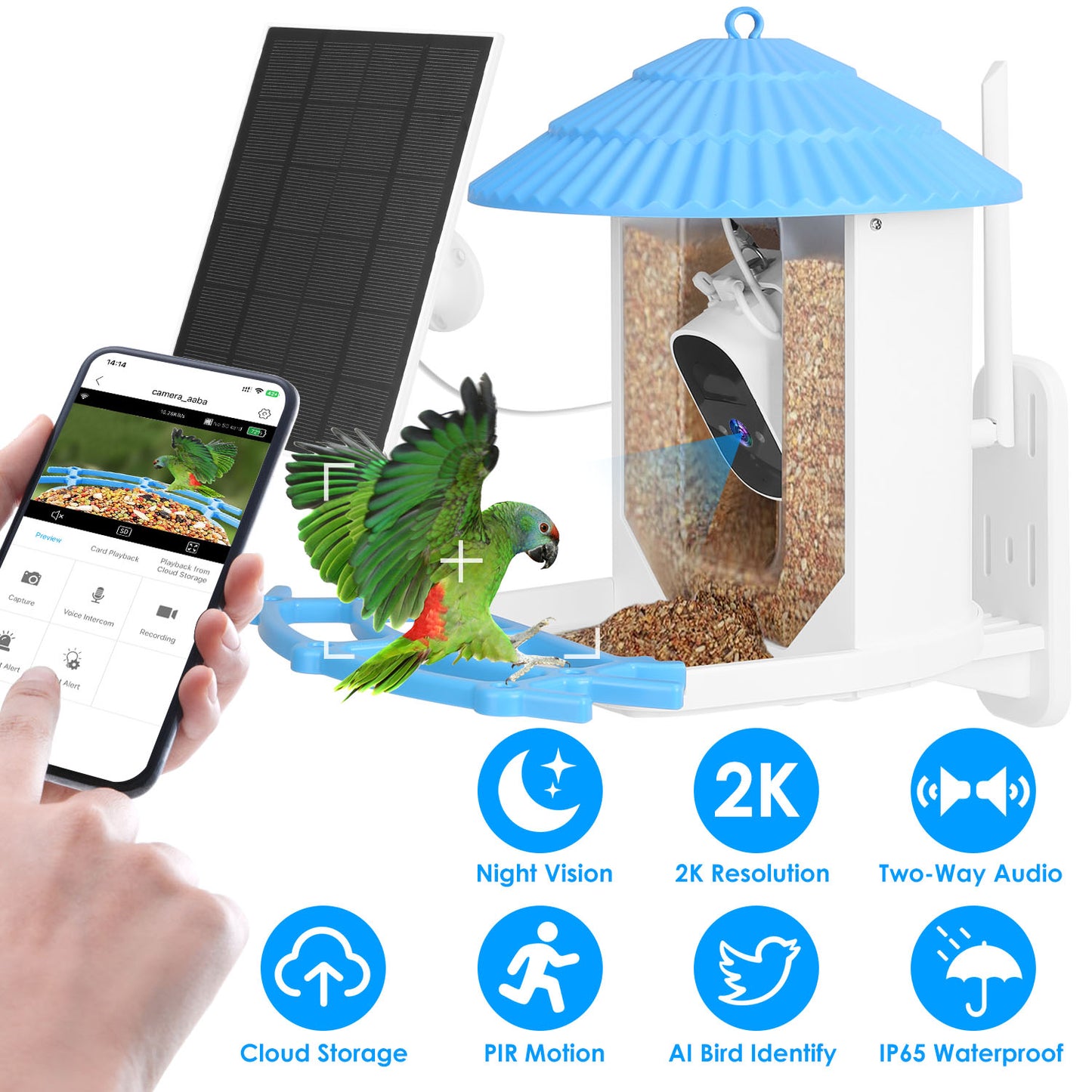 Solar Powered Smart Bird Feeder 2K Bird Watching Camera With PIR Motion AI Birds Species Identify Two-Way Audio Real-Time App Notification Capture Vid