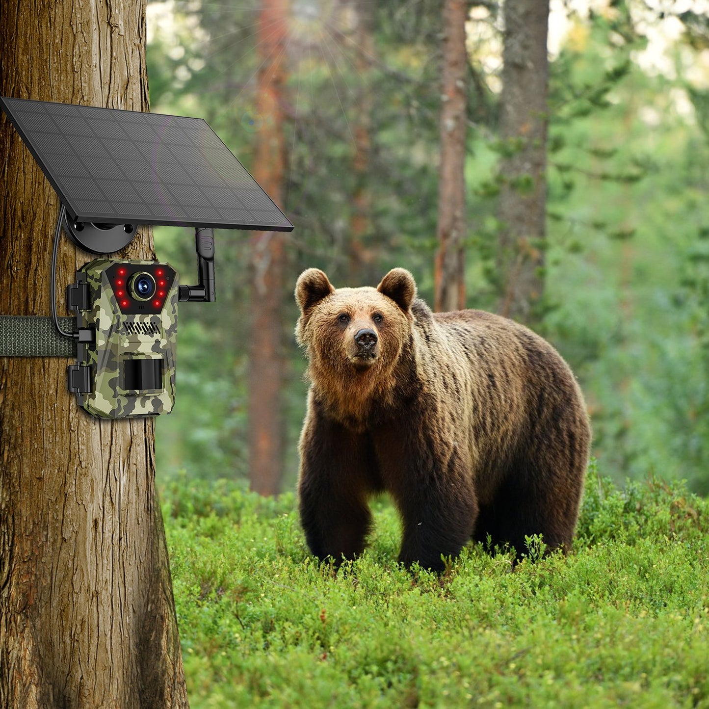 4G 4K 30FPS Solar Trail Camera Outdoor Wildlife Camera Motion Activated IP66 Waterproof with 140¼Viewing Angle No Glow Night Vision SIM Card APP Contr
