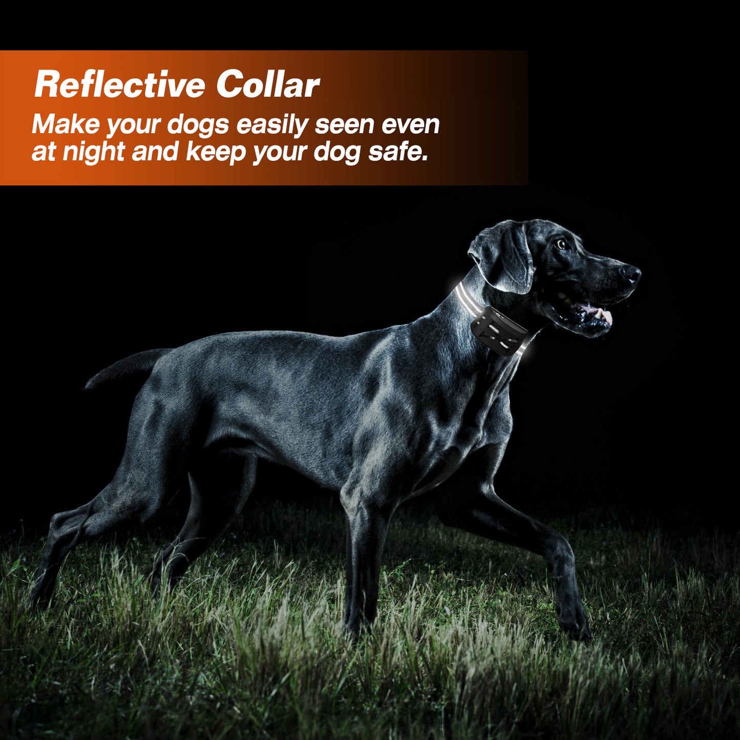 Electric Dog Collar Receiver Anti-Bark Dog Deterrent Training Collar with Beep Vibration Shock Modes for Dog Fence System