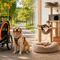 Outdoor adventure and cozy pet space