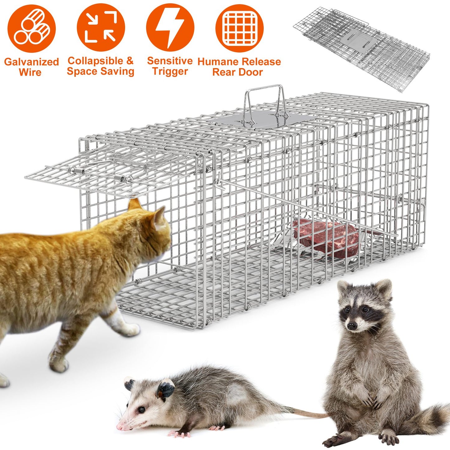 Humane Cat Trap Cage Catch Release Live Animal Rodent Cage Collapsible Galvanized Wire for Raccoons Beavers Groundhogs Foxes Armadillos