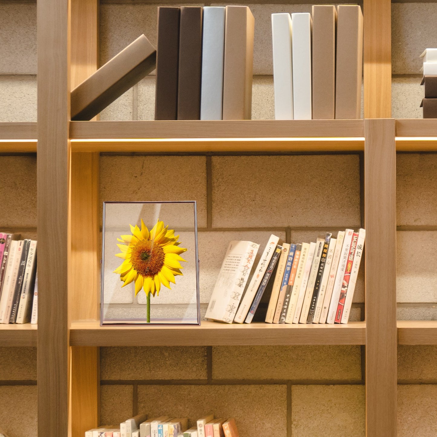 2Pcs Standing Rose Gold Metal Picture Frames 5x7IN 8x10IN Vertical Tabletop Floating Photo Frame Double-Glazed Glass Pressed Flower Frame for Home Dec