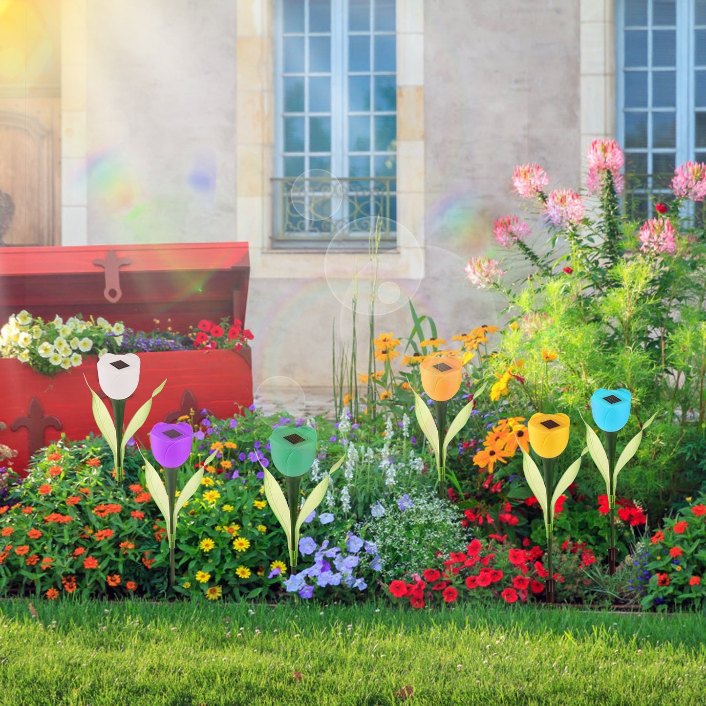 6-Pack Solar Tulip Garden Lights – IP54 Water-Resistant Pathway Decor