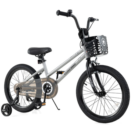 14 Inch Kids Bike Adjustable with Transparent Chain Cover for 4-5 Years Old