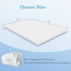 Queen Size