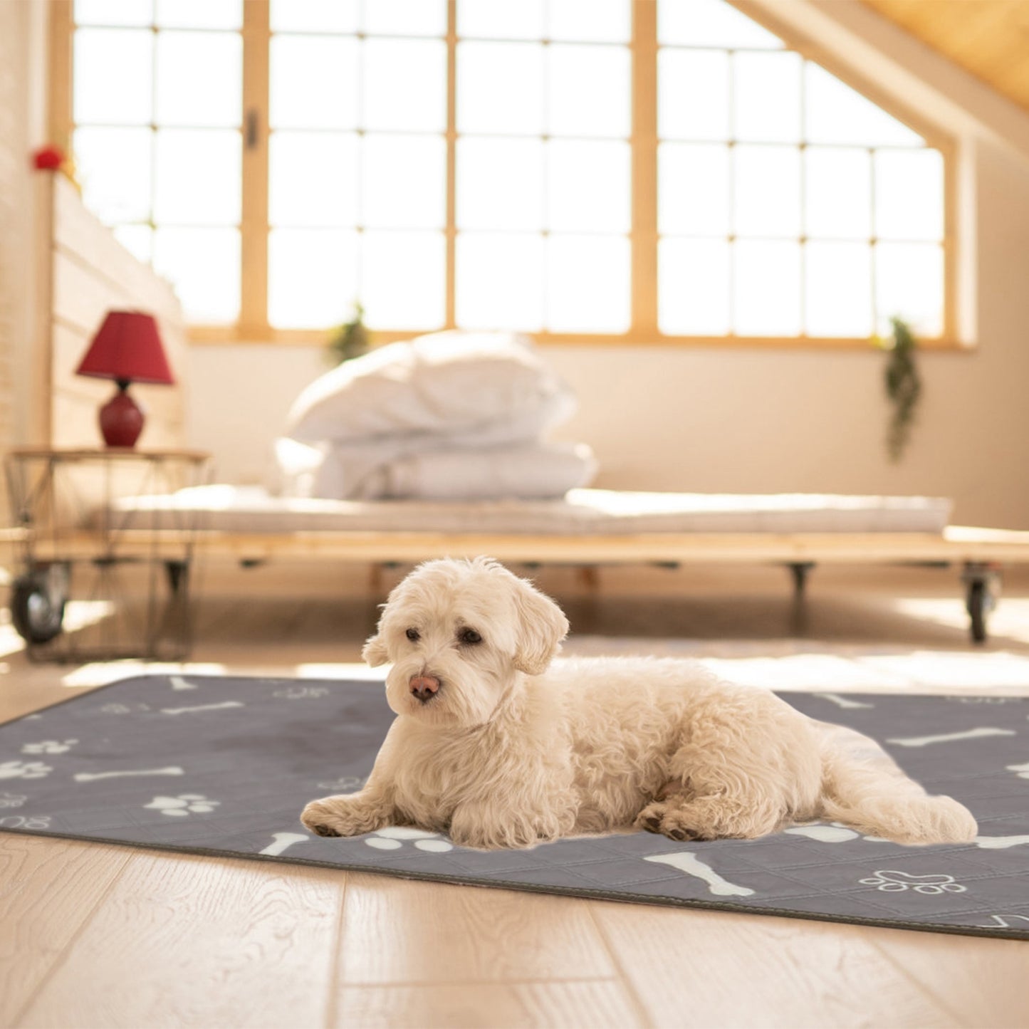 2Pcs Washable Pet Pee Pads For Puppy Kittens Dogs Cats Reusable Potty Mats Machine Washable Pet Training Pads Non-Slip Waterproof Absorbent Dog Crate