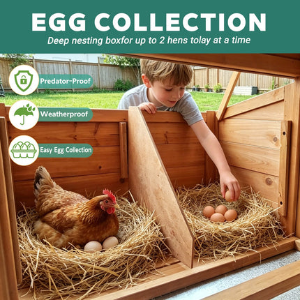 Chicken Coop with Run for 4-6 Chickens, Weatherproof Wood
