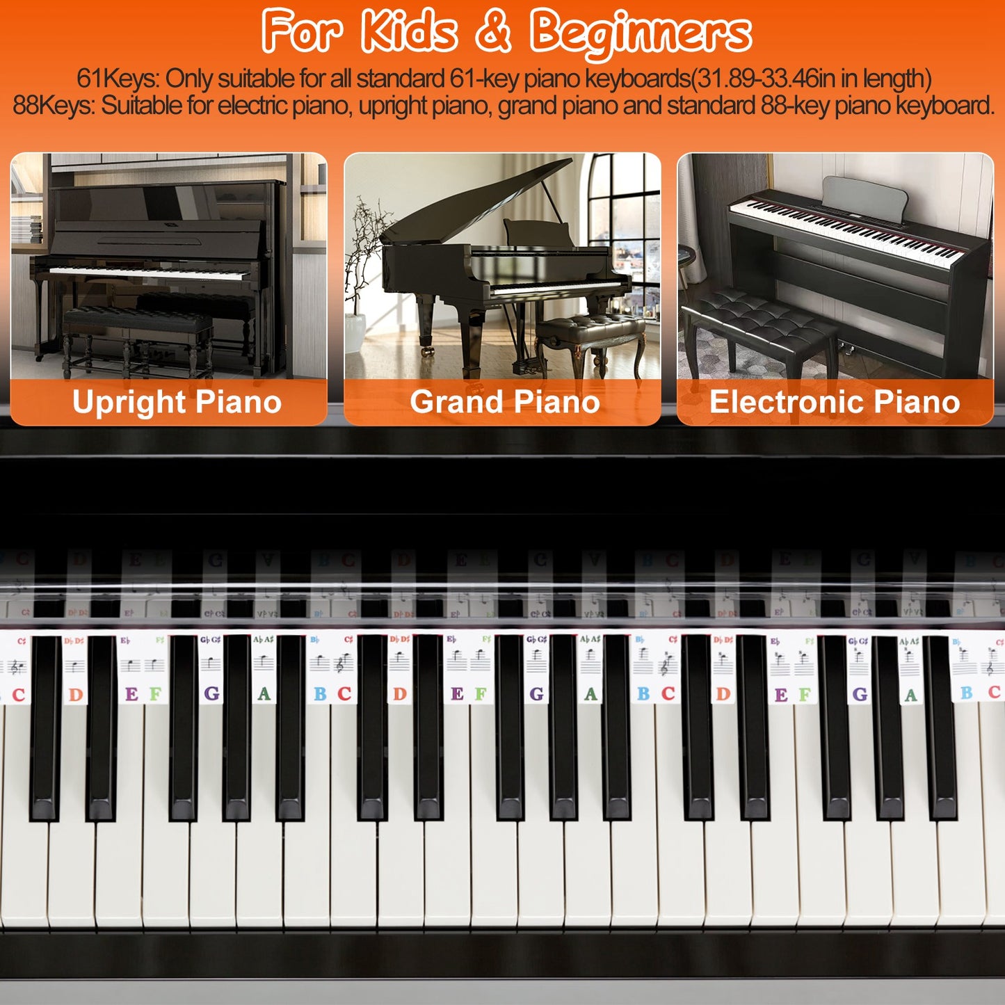 61-Key Piano Keyboard Stickers Removable Piano Key Labels PVC Piano Notes Guide without Glue for Beginners Kids