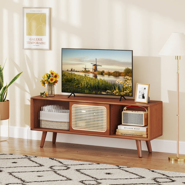 Modern TV Stand with Rattan Glass Sliding Doors