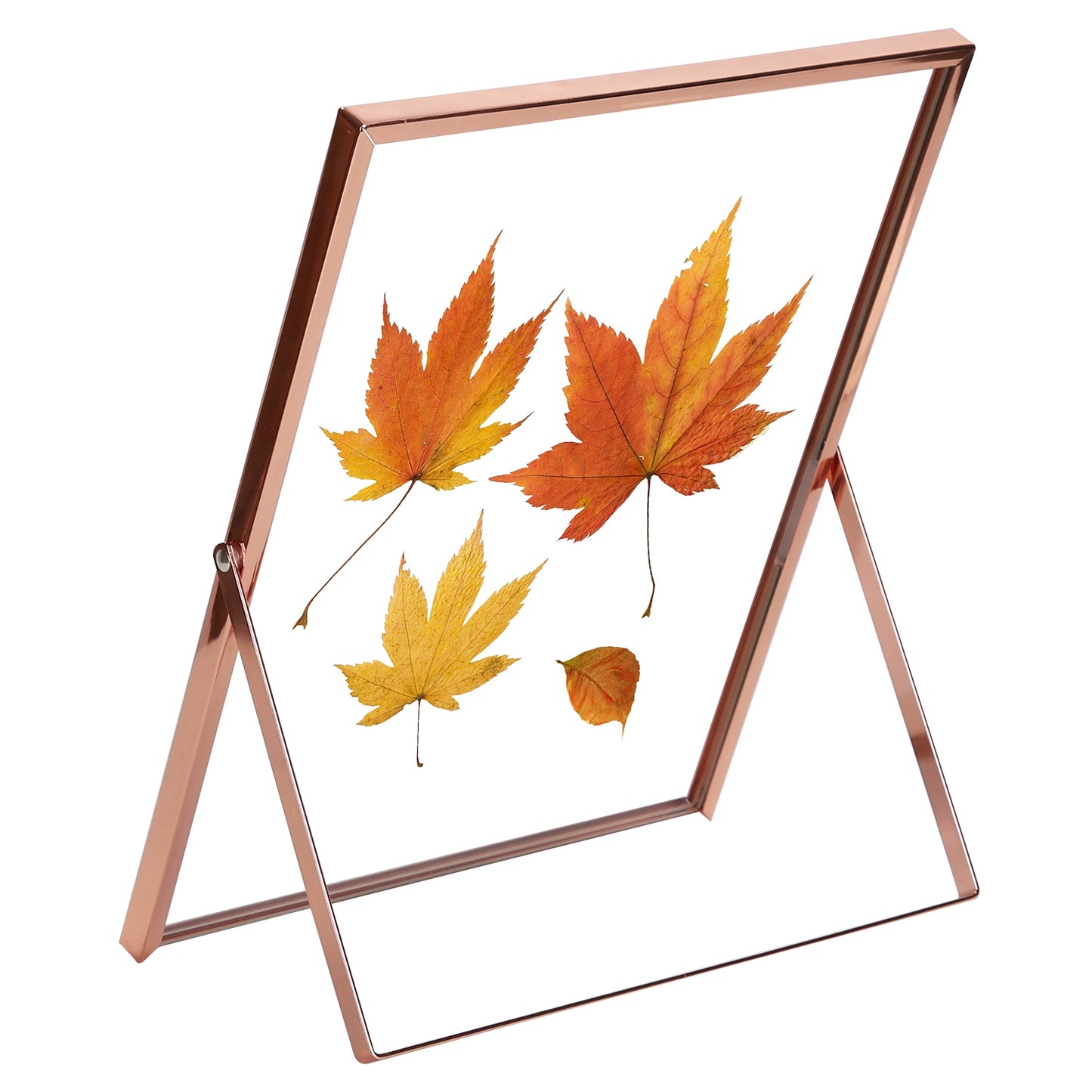 2Pcs Standing Rose Gold Metal Picture Frames 5x7IN 8x10IN Vertical Tabletop Floating Photo Frame Double-Glazed Glass Pressed Flower Frame for Home Dec