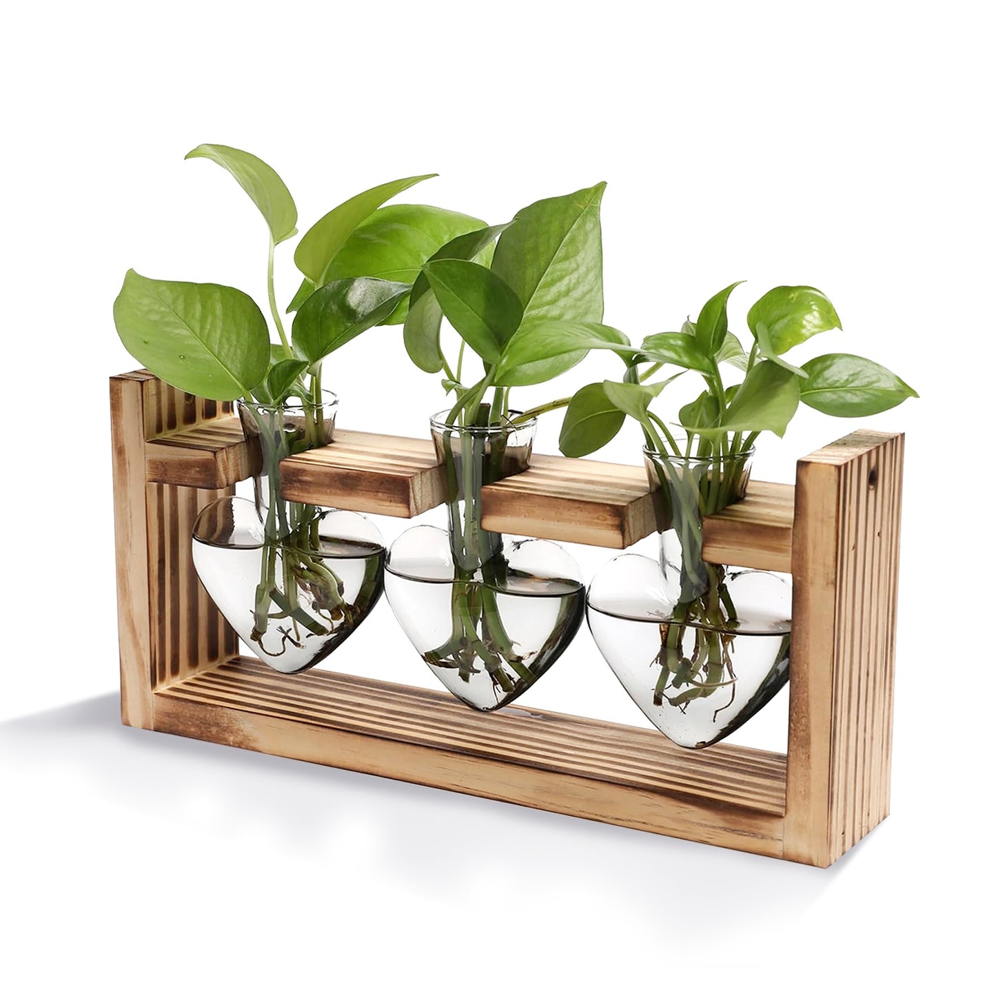 Plant Terrarium Propagation Station with 3 Heart Shaped Vases Wooden Stand Desktop Air Planter Bulb Glass Vase for Hydroponics Home Office Decor Gift