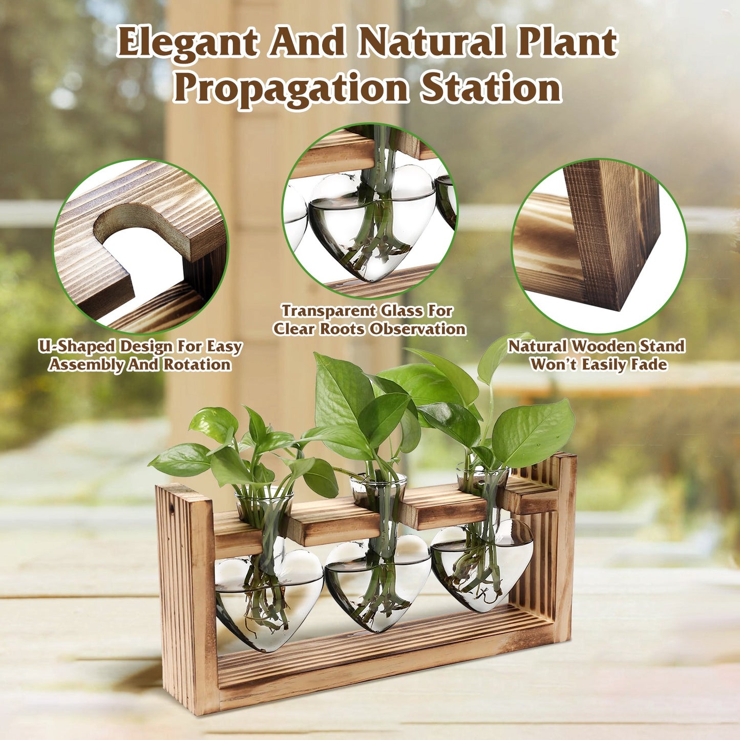 Plant Terrarium Propagation Station with 3 Heart Shaped Vases Wooden Stand Desktop Air Planter Bulb Glass Vase for Hydroponics Home Office Decor Gift