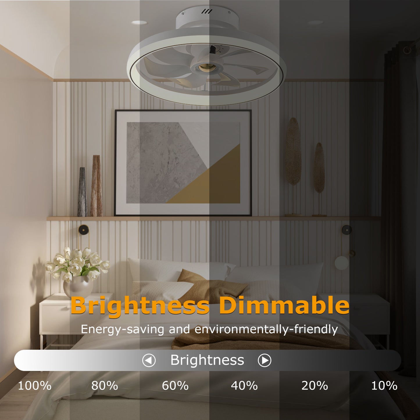 19.7in Ceiling Fan with 60W Light RoundÊPendant Fan Lamp LED Ceiling Fan with 6-Fan Speed 3000-6500W Light Color Adjustment Remote Control Timer APP C