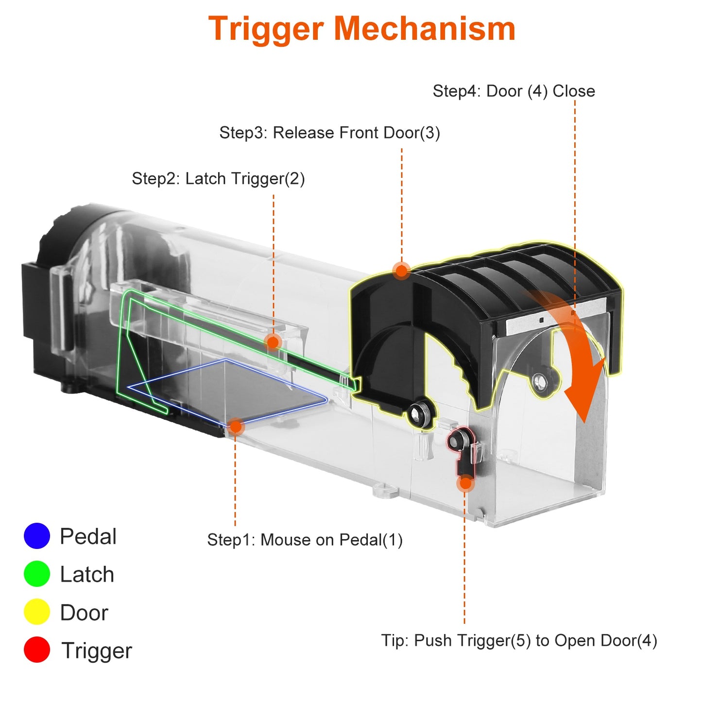 2Pcs Humane Live Mouse Trap Reusable Rat Rodent Trap Catch Release Cage Safe for Family Children Pets Easy Setup