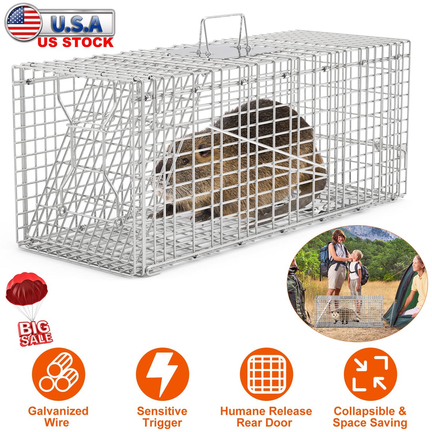 Humane Cat Trap Cage Catch Release Live Animal Rodent Cage Collapsible Galvanized Wire for Raccoons Beavers Groundhogs Foxes Armadillos