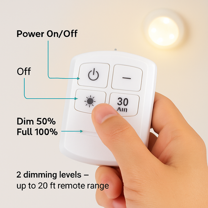 Cordless Closet Lamp with Remote Night Light