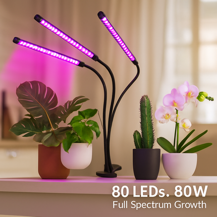Indoor Plant Grow Light for Healthy Indoor Plants