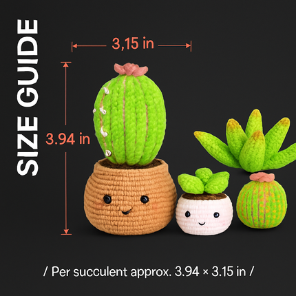 Succulents Crochet Kit for Beginners with 4 Patterns