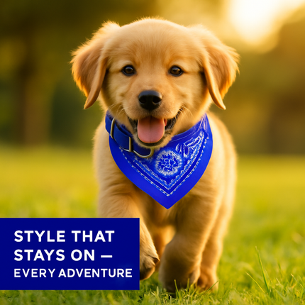 Adjustable Leather Pet Collar Triangle Bandana for Dogs