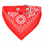 Red / L