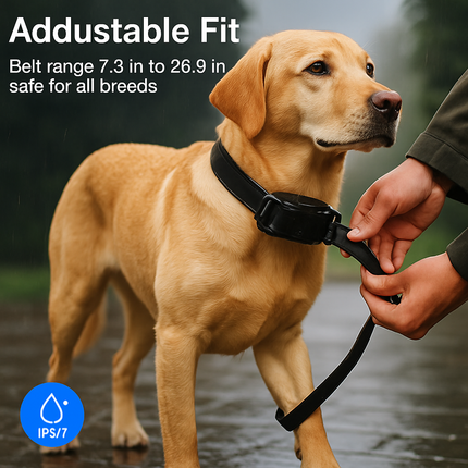 Dog Training Collar Receiver for Remote Training