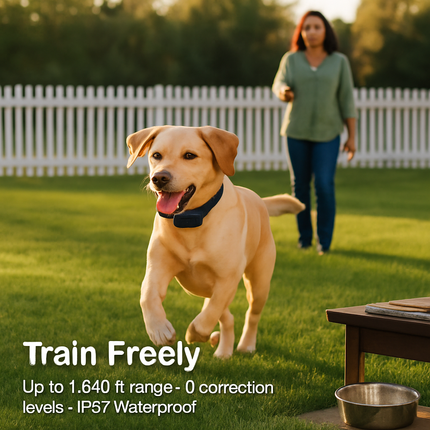 Dog Bark Training Collar: Adjustable, Safe Correction
