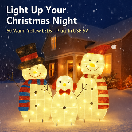 2D Christmas Snowman Yard Decoration with LED Lights