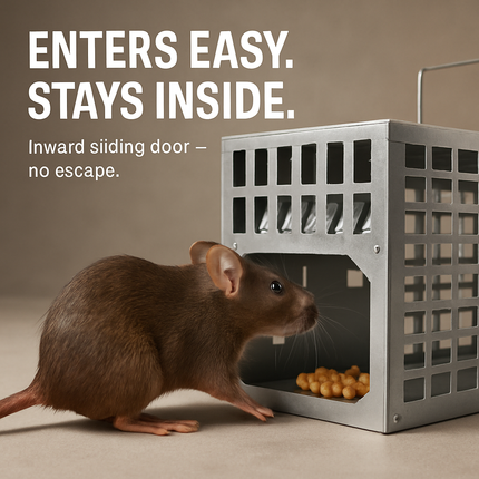 Humane Live Mouse Trap Cage for Reusable Safe Catch