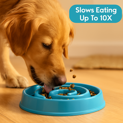 Slow Feeder Healthy Dog Bowl Puzzle Maze for Dogs