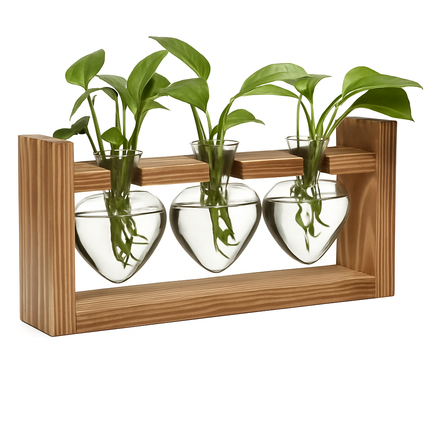 Heart Vase Plant Terrarium Station with Wood Stand