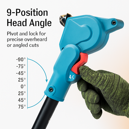 Cordless Pole Saw and Mini Chainsaw with Extension