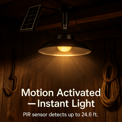 Solar Shed Light with Separate Panel for Indoor/Outdoor Use