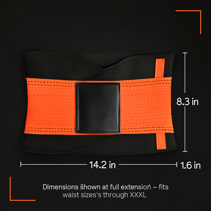U-Shaped Slimming Waist Belt for Targeted Core Support