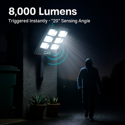 Solar Powered Wall Light with PIR Motion Sensor