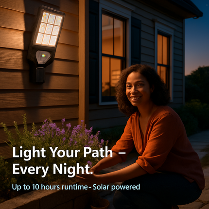 Outdoor Solar Wall Light with PIR Motion Sensor
