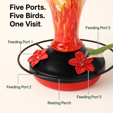 Hummingbird Feeder with 5 Ports, Ant Moat & Rope