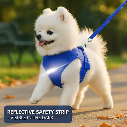 Pet Mesh Harness and Leash Set with Reflective Chest Strap