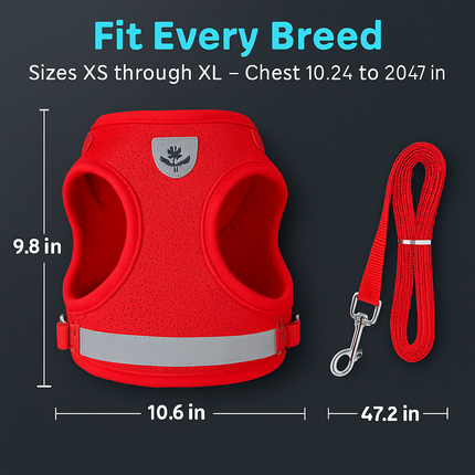 Pet Mesh Harness and Leash Set with Reflective Chest Strap