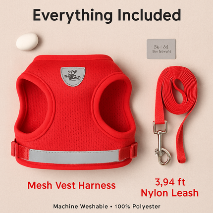 Pet Mesh Harness and Leash Set with Reflective Chest Strap