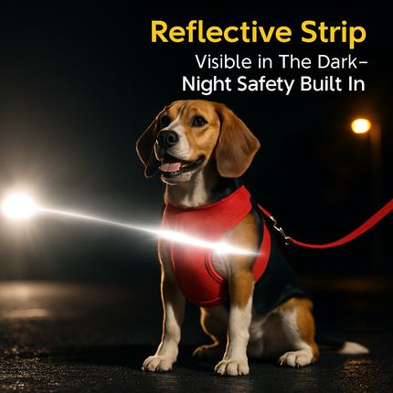 Pet Mesh Harness and Leash Set with Reflective Chest Strap