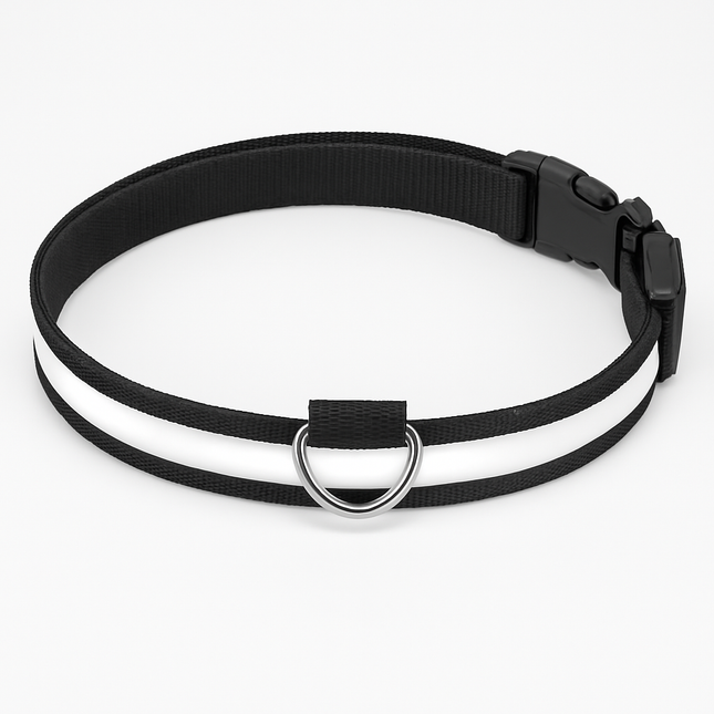 LED Dog Collar: Safety Light for Night Walks
