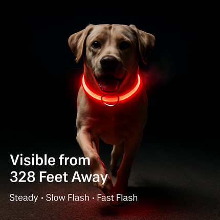 LED Dog Collar: Safety Light for Night Walks