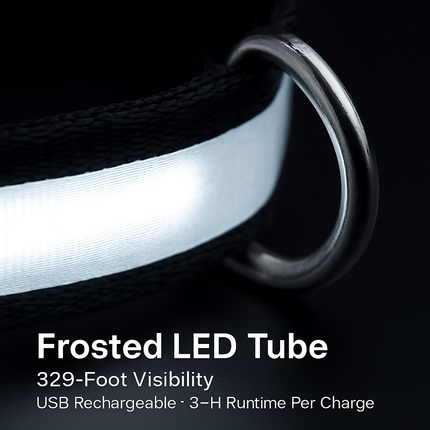 LED Dog Collar: Safety Light for Night Walks