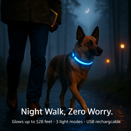 LED Dog Collar: Safety Light for Night Walks