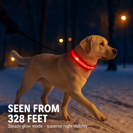 LED Dog Collar: Safety Light for Night Walks