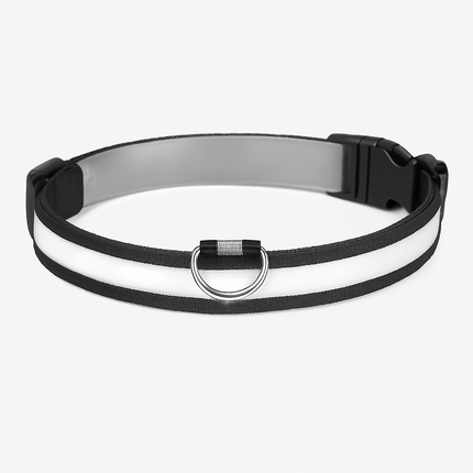 LED Dog Collar: Safety Light for Night Walks