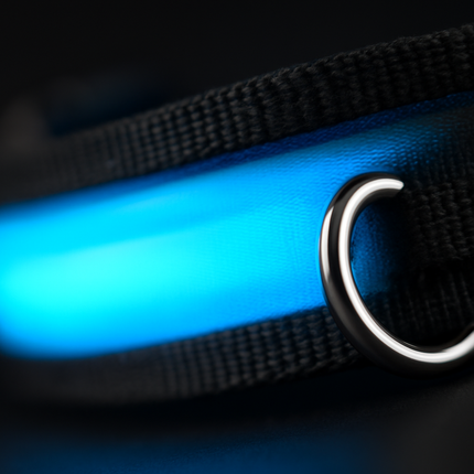 LED Dog Collar: Safety Light for Night Walks