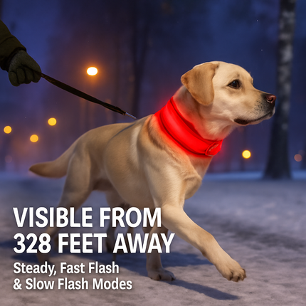 LED Dog Collar: Safety Light for Night Walks