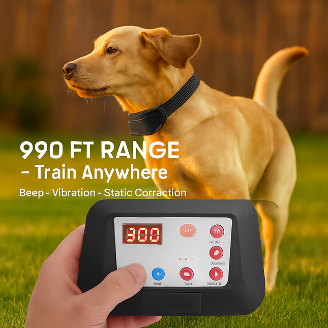 Radius Dog Training Collar with Wireless Fence