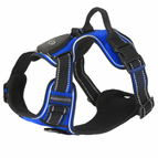Dark Blue / L